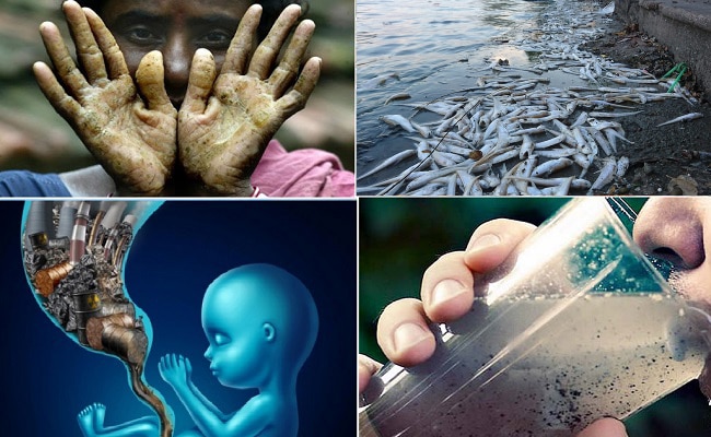 Nhiều nghiên cứu khoa học và báo cáo thống kê đã đưa ra số liệu cụ thể chứng minh tác hại khủng khiếp của nguồn nước ô nhiễm đến sức khỏe con người